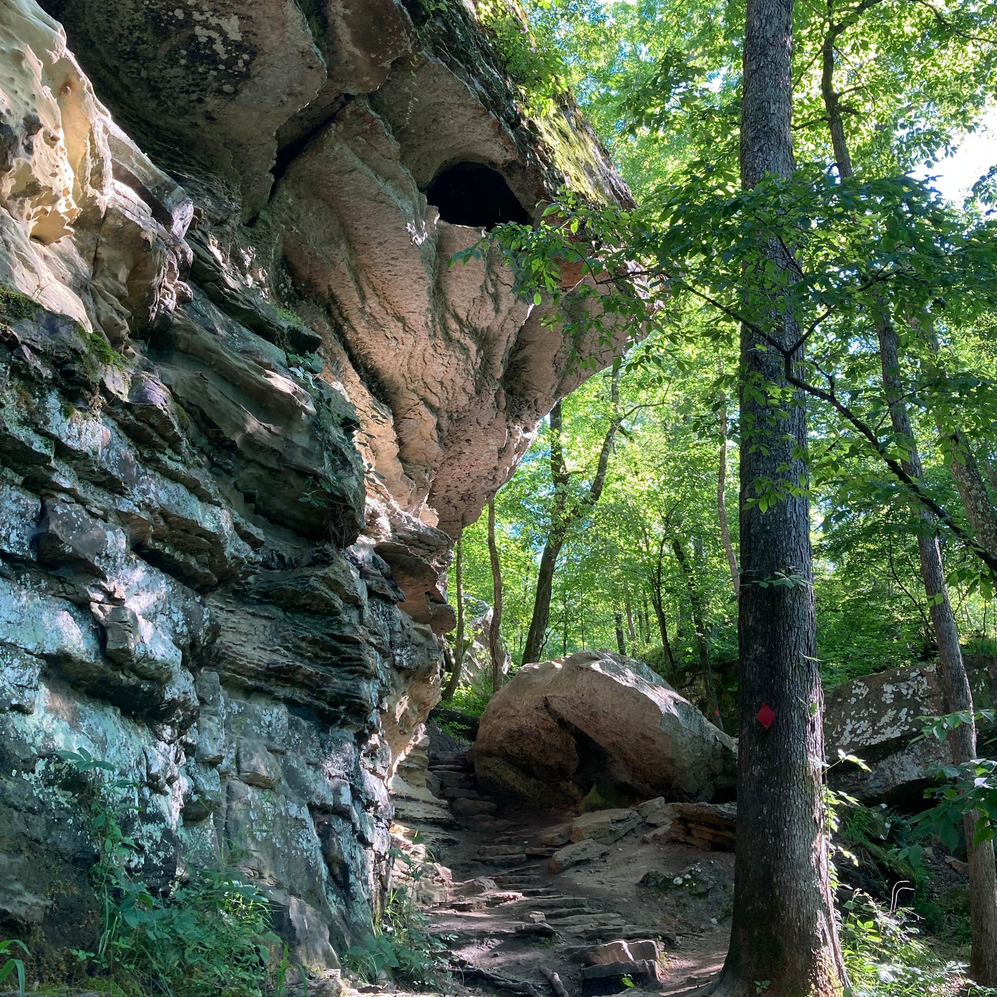 Devil's Den State Park | The Dyrt
