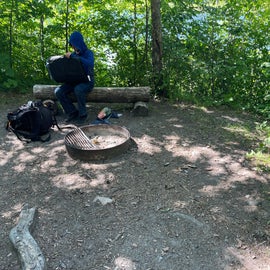 fire ring and sitting log