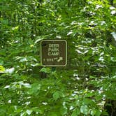 Review photo of Deer Park Lake Backcountry Campsite — Itasca State Park by Brent G., June 15, 2021