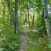 Review photo of Deer Park Lake Backcountry Campsite — Itasca State Park by Brent G., June 15, 2021