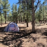 Review photo of Ten-X Campground — Grand Canyon National Park by Alessandra C., June 16, 2021