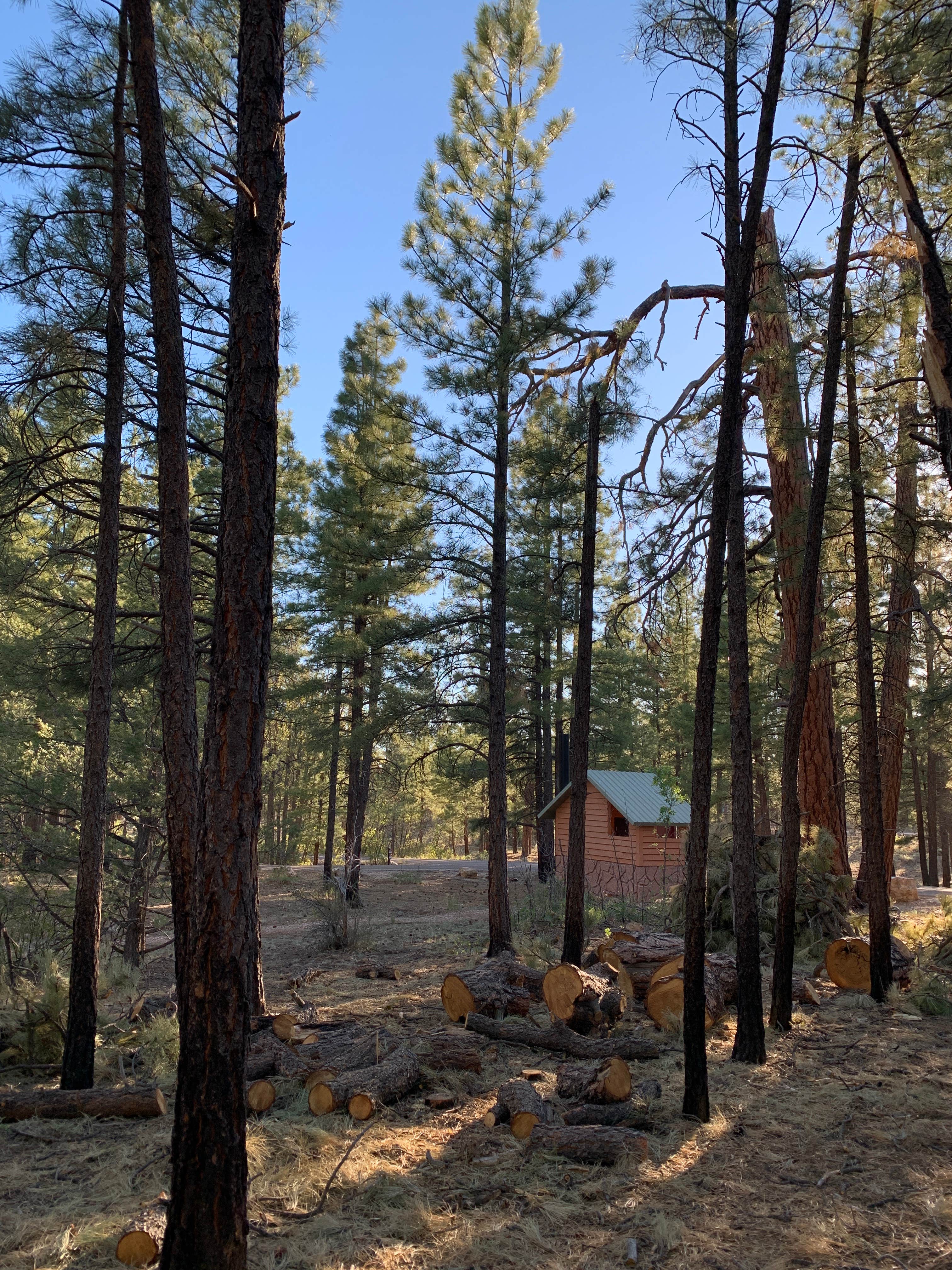 Alessandra C.'s photo of glamping accommodations at Tusayan-Montane — Grand Canyon National Park near Supai, AZ