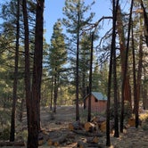 Review photo of Ten-X Campground — Grand Canyon National Park by Alessandra C., June 16, 2021