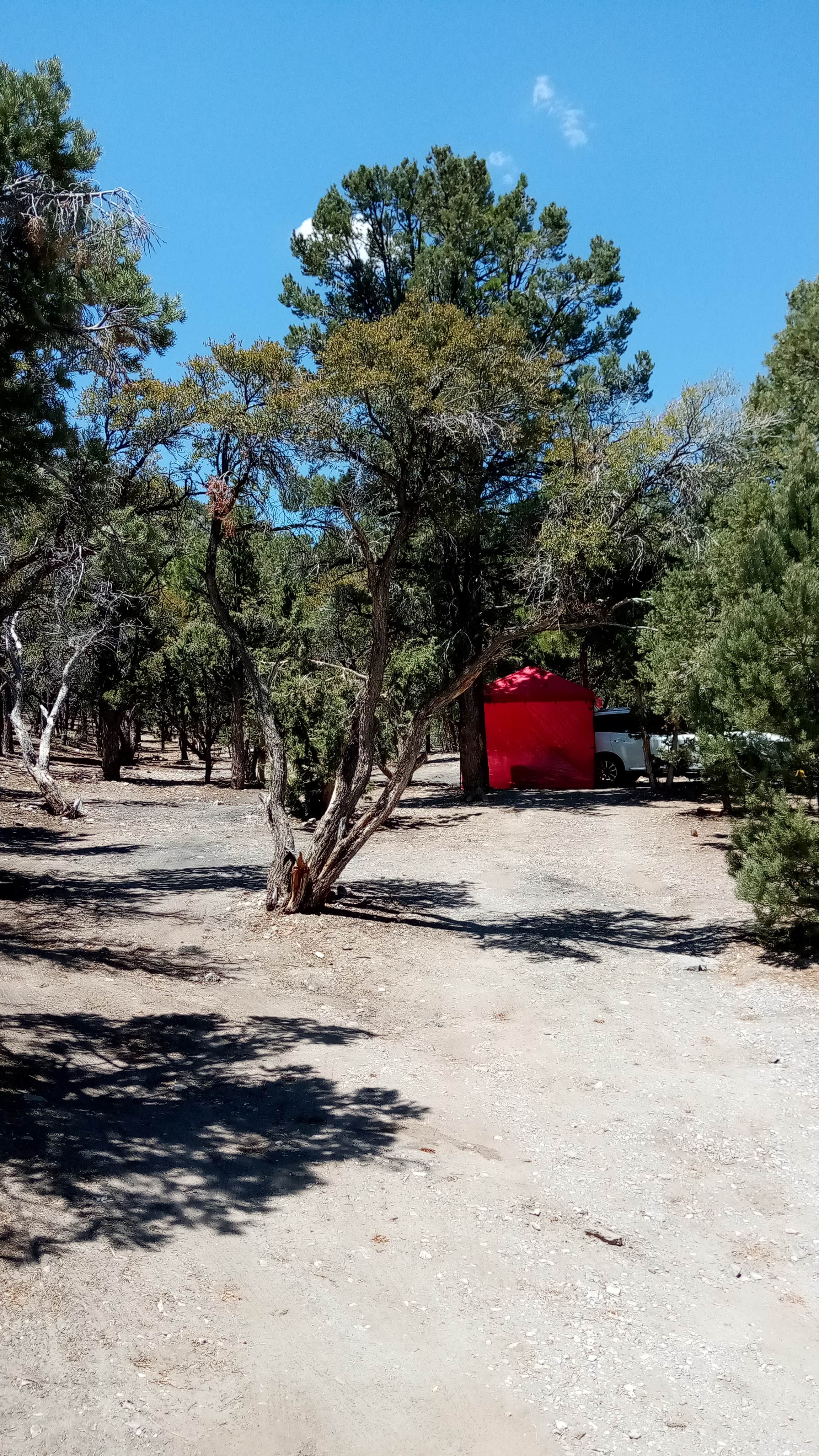 Ed M.'s photo at Mack's Canyon Dispersed near Indian Springs, NV