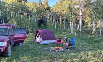 Camping near Basin Station Cabin: Targhee Creek, West Yellowstone, Idaho