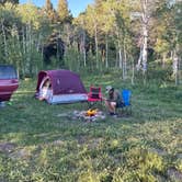 Review photo of Targhee Creek by Kaitlin B., June 16, 2021