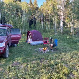 Targhee Creek