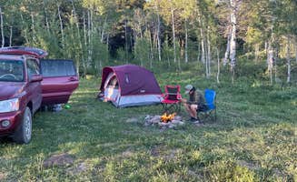 Kaitlin B.'s photo at Targhee Creek in Idaho