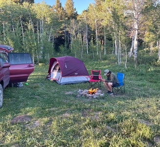 Camper-submitted photo from Targhee Creek