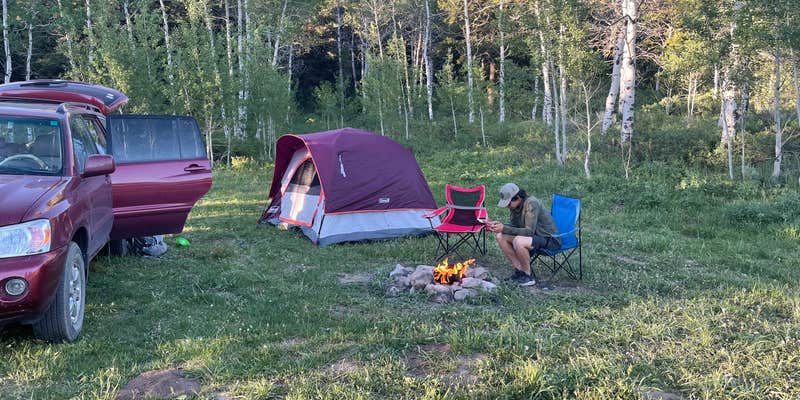 Camper submitted image from Targhee Creek