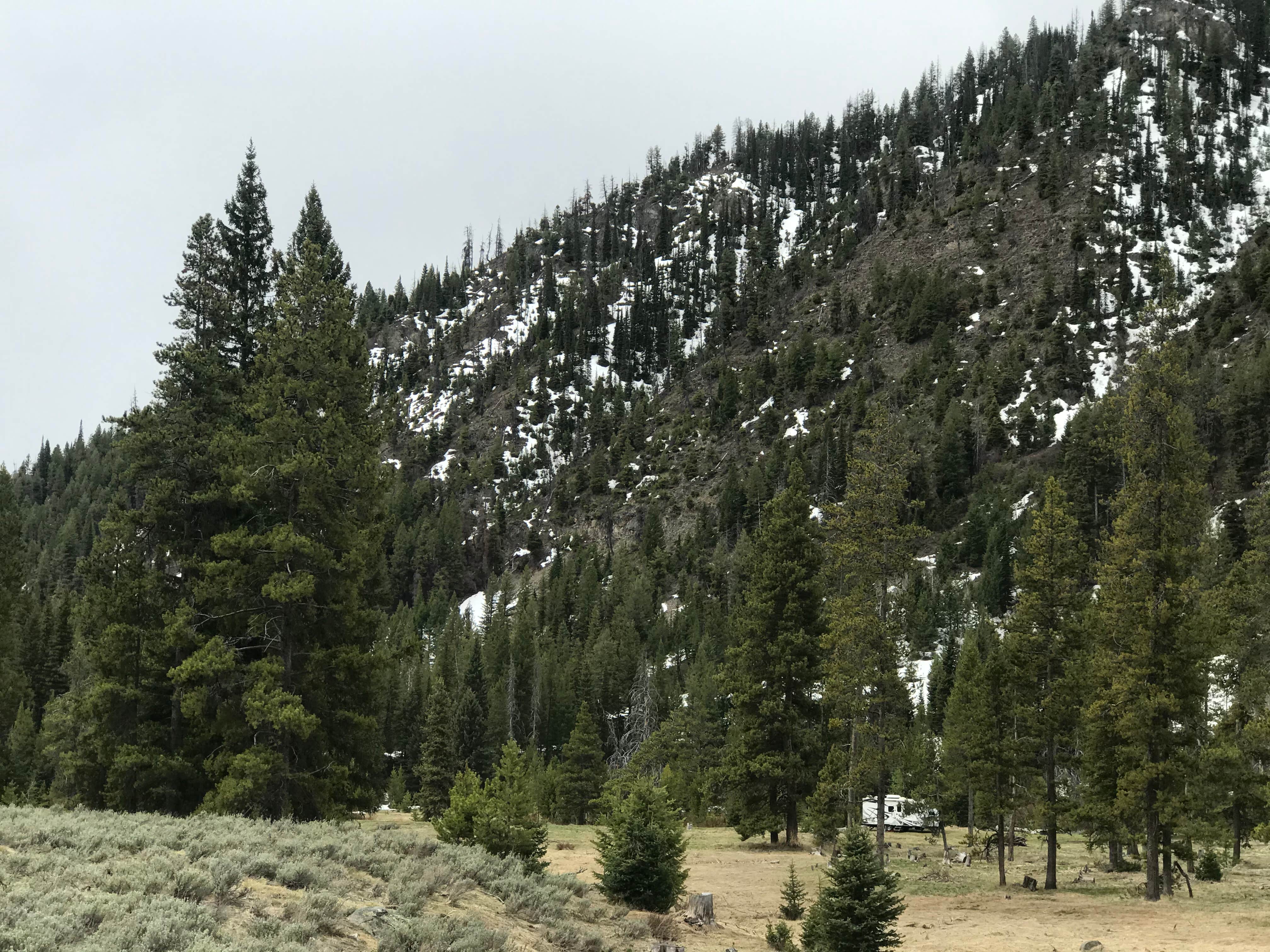 Camper-submitted photo at Cougar Dispersed Camping Area near Sun Valley, ID