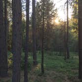 Review photo of Thousand Trails Yosemite Lakes by michelle H., June 10, 2018