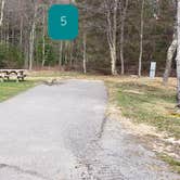 Review photo of Blackwater Falls State Park Campground by Jean C., June 16, 2021