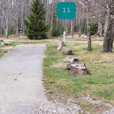 Review photo of Blackwater Falls State Park Campground by Jean C., June 16, 2021