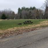 Review photo of Blackwater Falls State Park Campground by Jean C., June 16, 2021