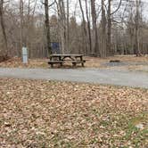 Review photo of Blackwater Falls State Park Campground by Jean C., June 16, 2021