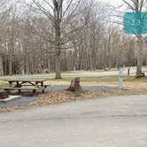 Review photo of Blackwater Falls State Park Campground by Jean C., June 16, 2021