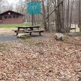 Review photo of Blackwater Falls State Park Campground by Jean C., June 16, 2021