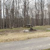 Review photo of Blackwater Falls State Park Campground by Jean C., June 16, 2021