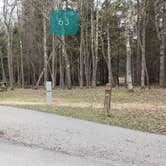 Review photo of Blackwater Falls State Park Campground by Jean C., June 16, 2021