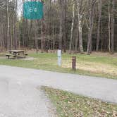 Review photo of Blackwater Falls State Park Campground by Jean C., June 16, 2021