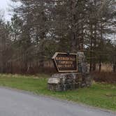 Review photo of Blackwater Falls State Park Campground by Jean C., June 16, 2021