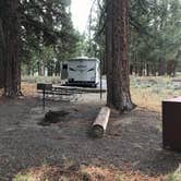 Review photo of Alpine Meadow Campground by David  B., June 16, 2021