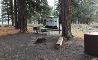 David  B.'s photo at Martis Creek Campground near Floriston, CA