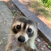 Review photo of Acorn Campground — Beavers Bend State Park by Robin C., June 16, 2021