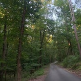 Review photo of Acorn Campground — Beavers Bend State Park by Robin C., June 16, 2021