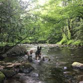 Review photo of Greenbrier Campground by Joe F., June 16, 2021