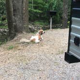 Review photo of Greenbrier Campground by Joe F., June 16, 2021