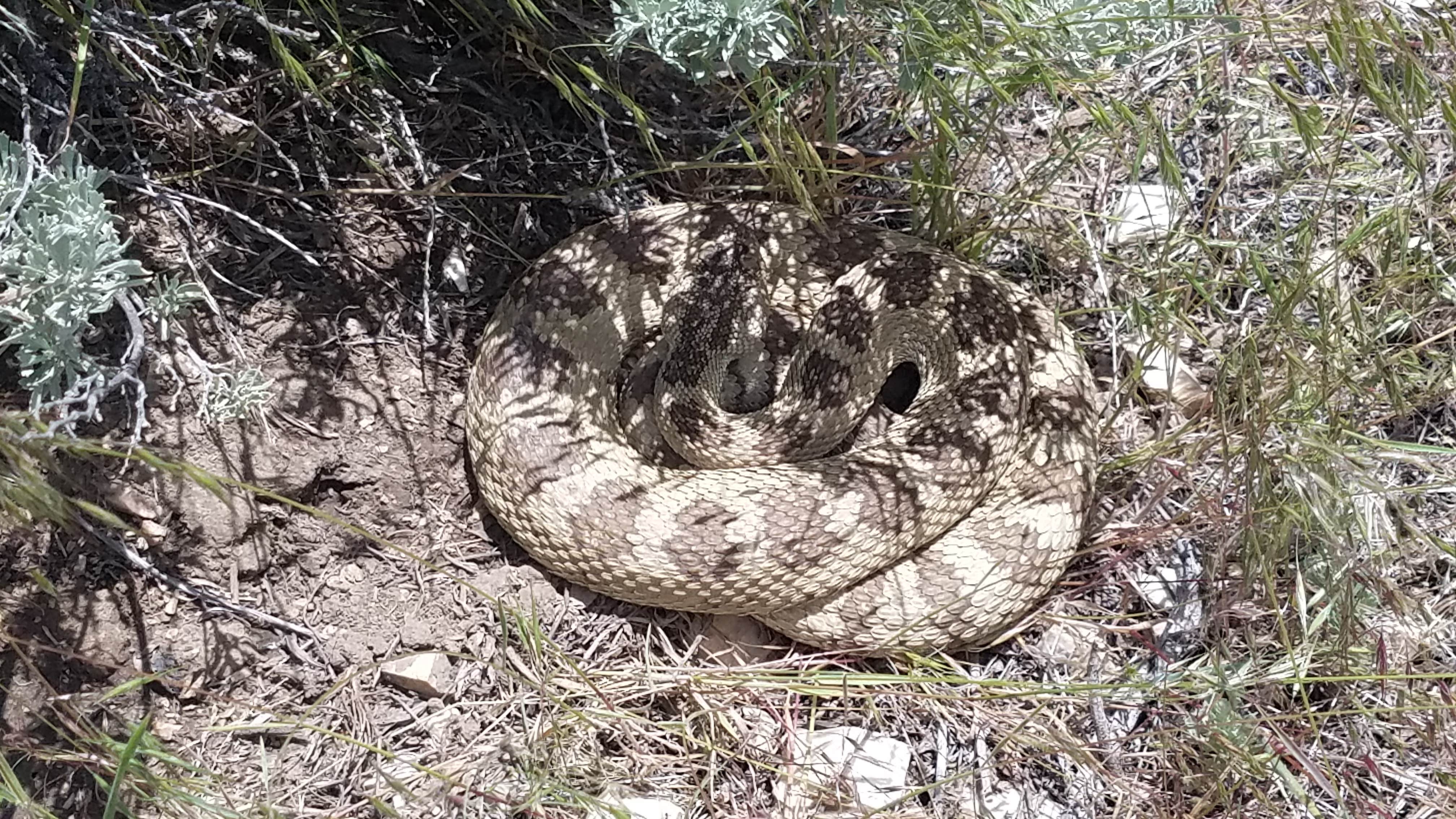 Camper submitted image from Clear Creek Campground - 5