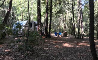 David B.'s photo at Hendy Woods State Park Campground near Philo, CA