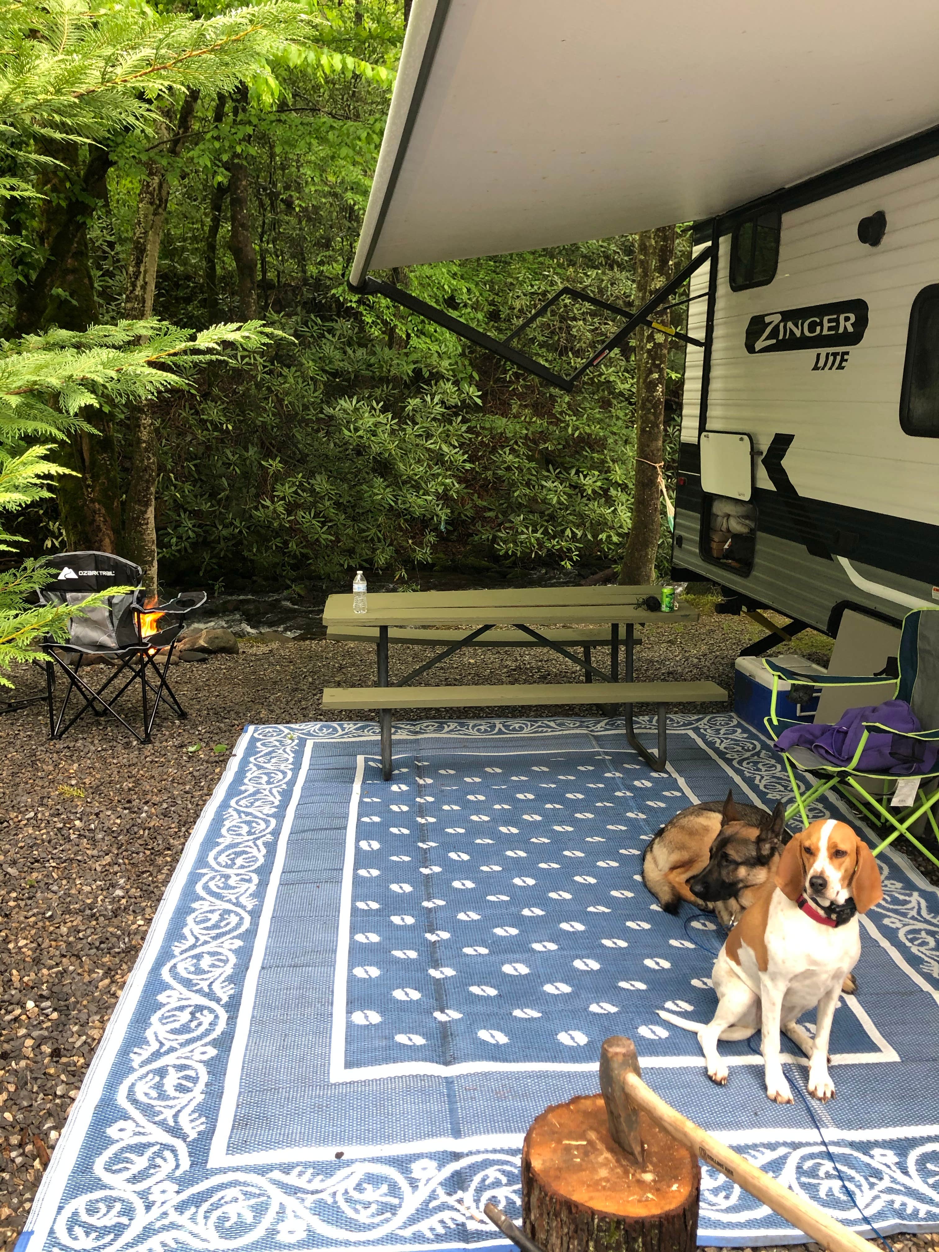Joe F.'s photo of camping with pets at Imagination Mountain Camp-Resort near Hartford, TN