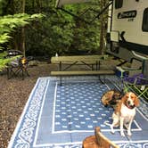 Review photo of Imagination Mountain Camp-Resort by Joe F., June 16, 2021