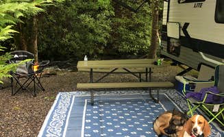 Joe F.'s photo of camping with pets at Imagination Mountain Camp-Resort in Tennessee