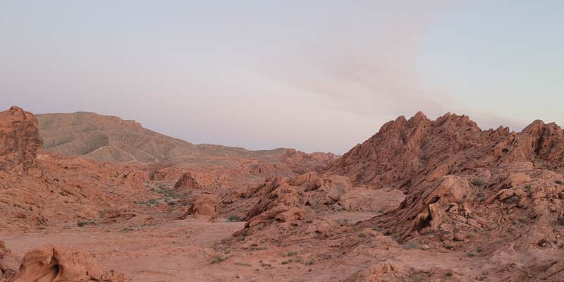 Camper submitted image from BLM Logandale Trails System Primitive Camping