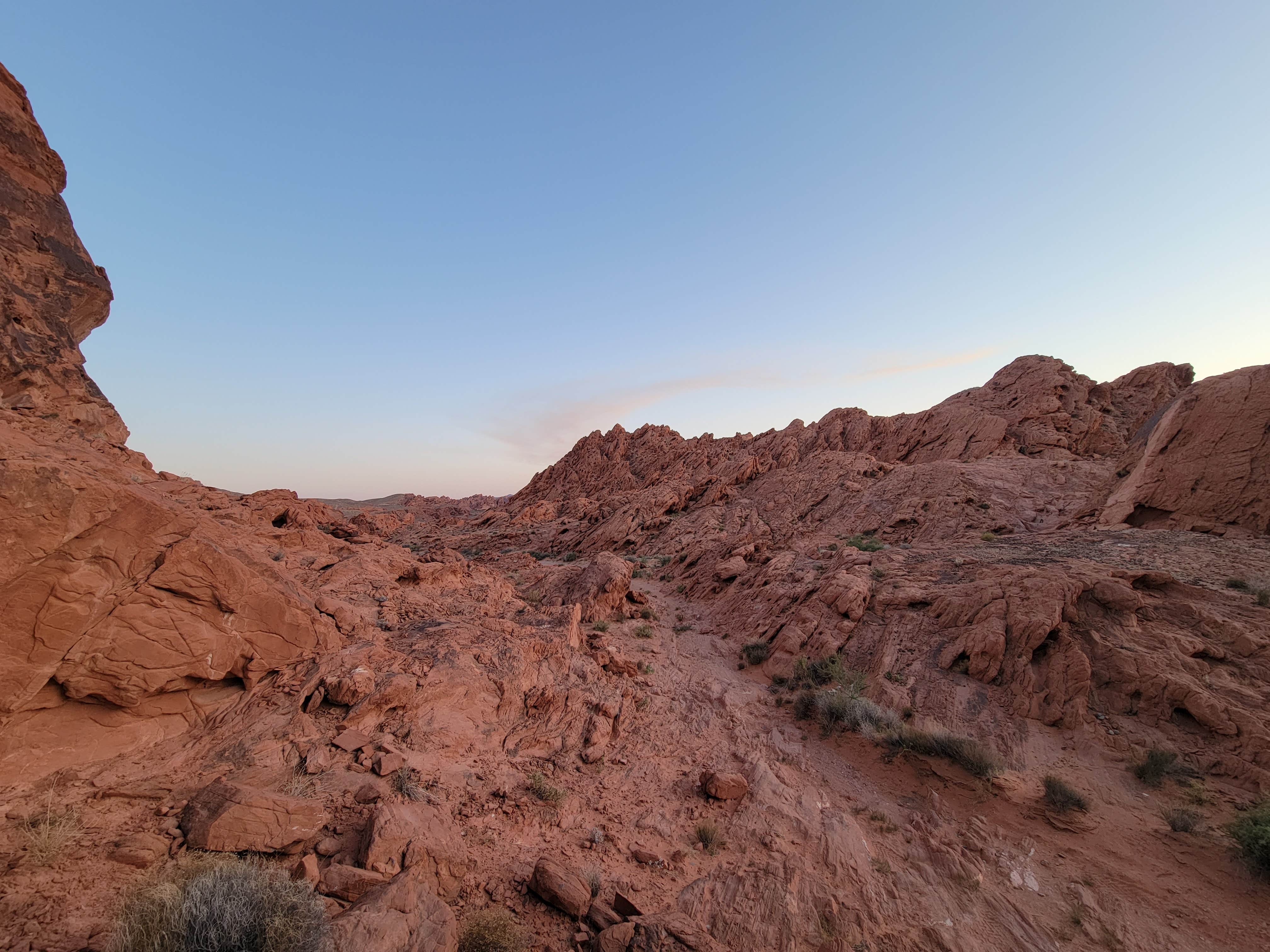 Camper-submitted photo at BLM Logandale Trails System Primitive Camping near Overton, NV