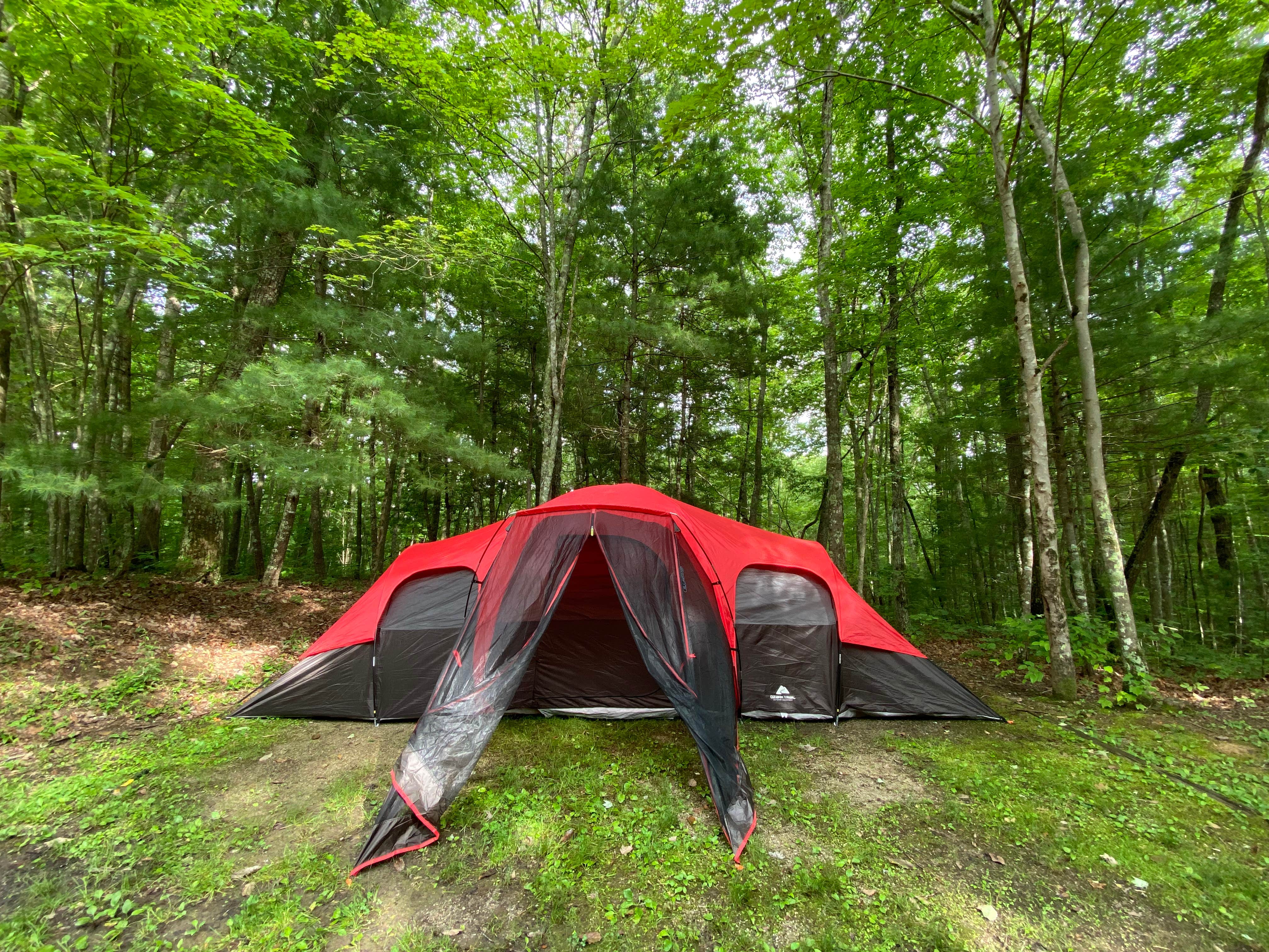 Alexis B.'s photo at Bandy Creek Campground — Big South Fork National River and Recreation Area near Rugby, TN