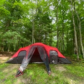 Review photo of Bandy Creek Campground — Big South Fork National River and Recreation Area by Alexis B., June 16, 2021