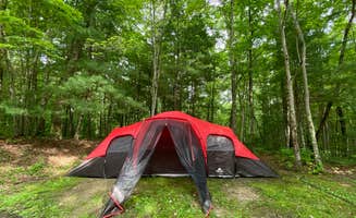 Alexis B.'s photo at Bandy Creek Campground — Big South Fork National River and Recreation Area near Robbins, TN