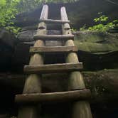 Review photo of Bandy Creek Campground — Big South Fork National River and Recreation Area by Alexis B., June 16, 2021