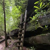 Review photo of Bandy Creek Campground — Big South Fork National River and Recreation Area by Alexis B., June 16, 2021