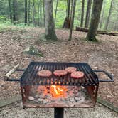 Review photo of Frozen Head State Park Campground by Alexis B., June 16, 2021