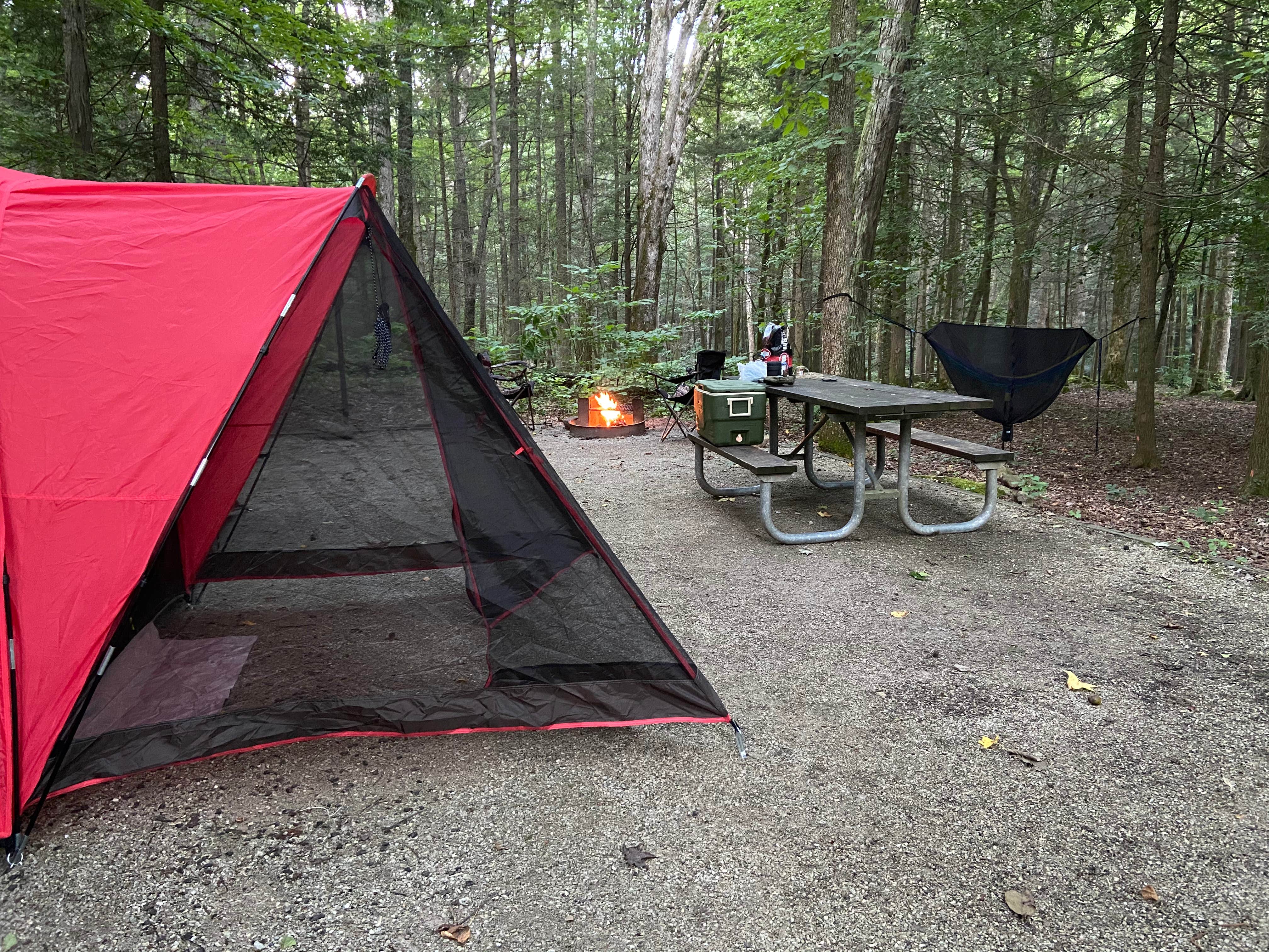 Alexis B.'s photo of tent camping at Frozen Head State Park Campground near Strunk, KY