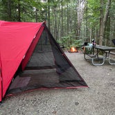 Review photo of Frozen Head State Park Campground by Alexis B., June 16, 2021