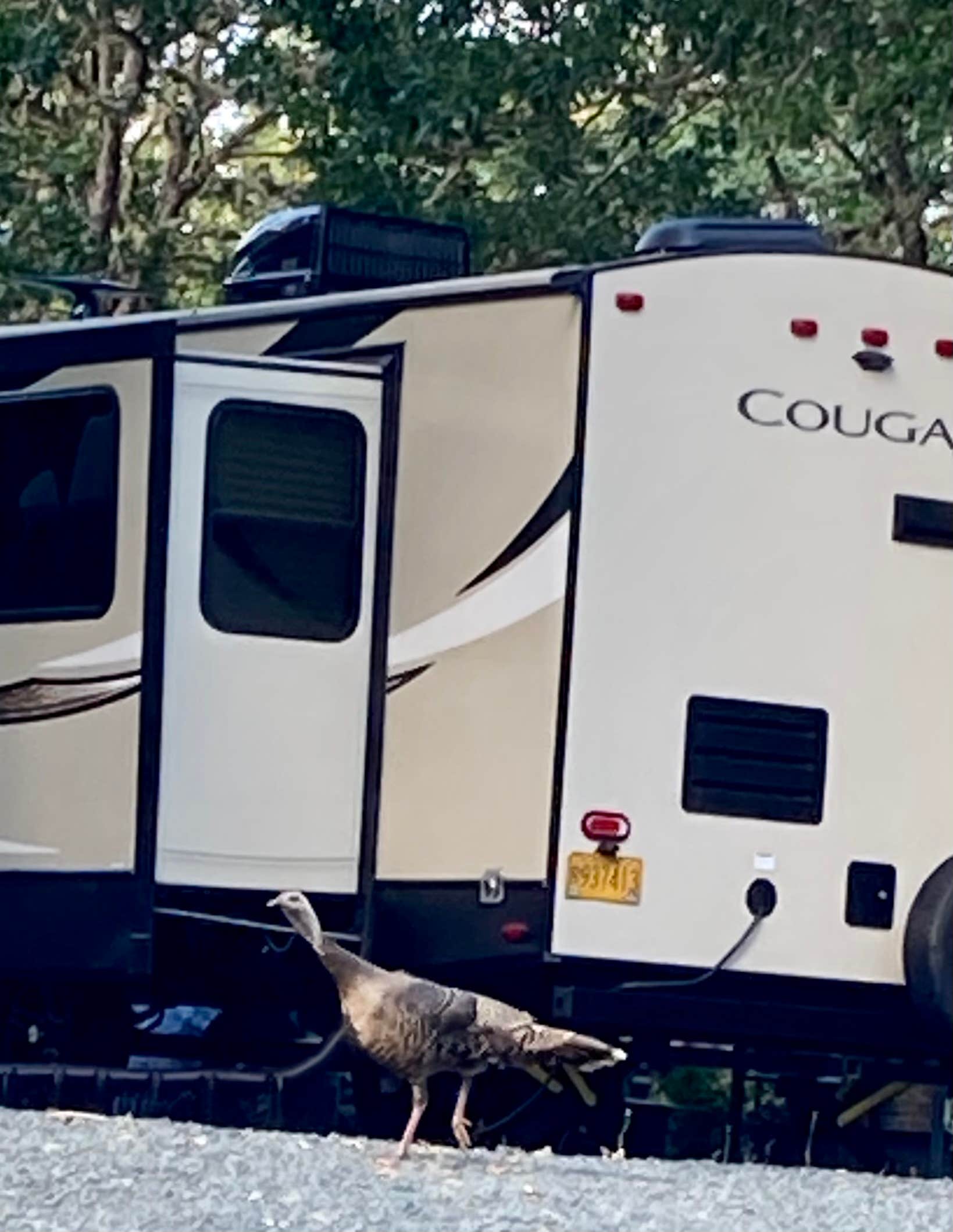 Jennifer H.'s photo of rv camping at Grants Pass KOA near Murphy, OR