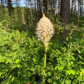 Review photo of Emery Bay Campground by The N., June 16, 2021