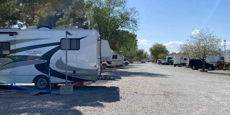 Camper submitted image from Pahrump RV Park